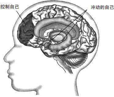 两种想法